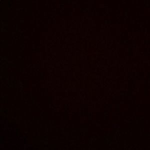 Meet your Posher, Tommy